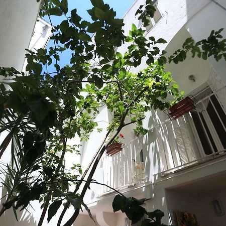 Il Cedrangolo House Tree Монополі Екстер'єр фото